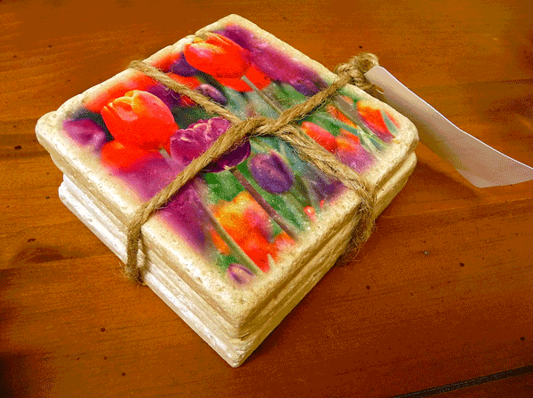 Tulip Coasters-AD&CS Studio